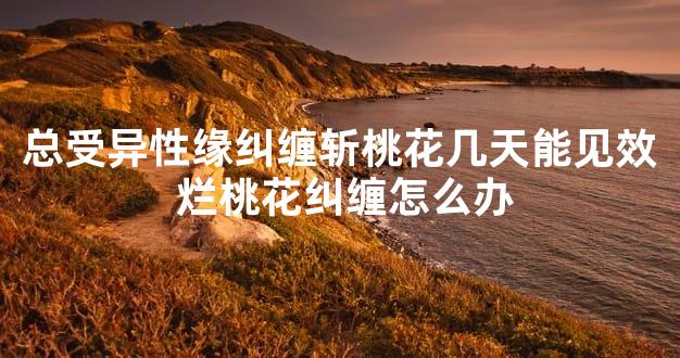 总受异性缘纠缠斩桃花几天能见效 烂桃花纠缠怎么办